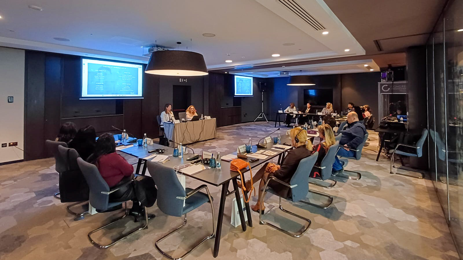 Information session on ELA Mediation 1