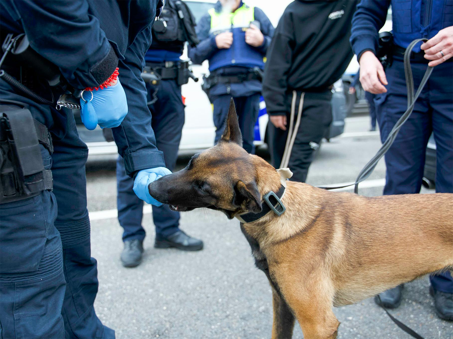 DE-NL-BG border inspection 3