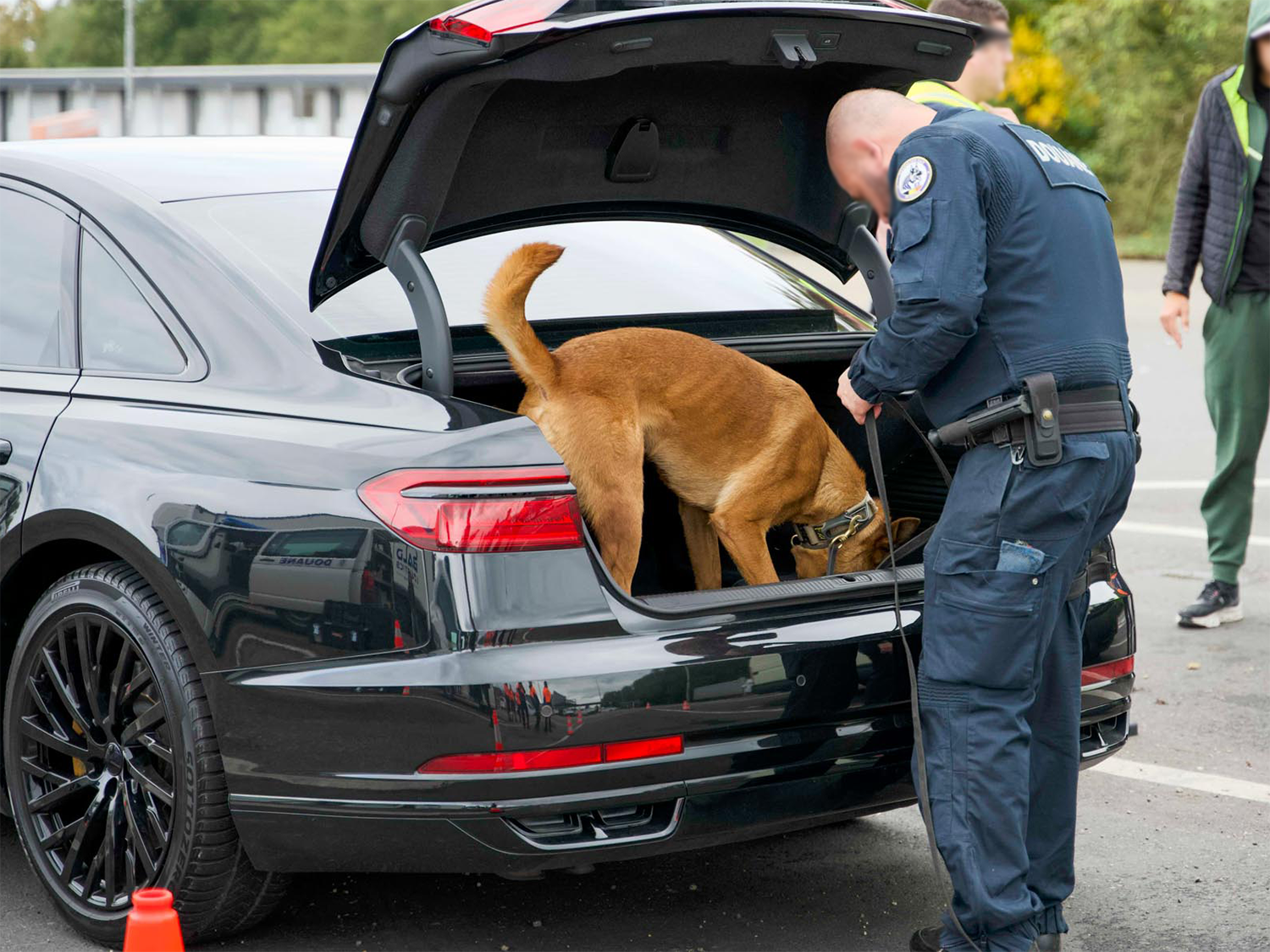 DE-NL-BG border inspection 5