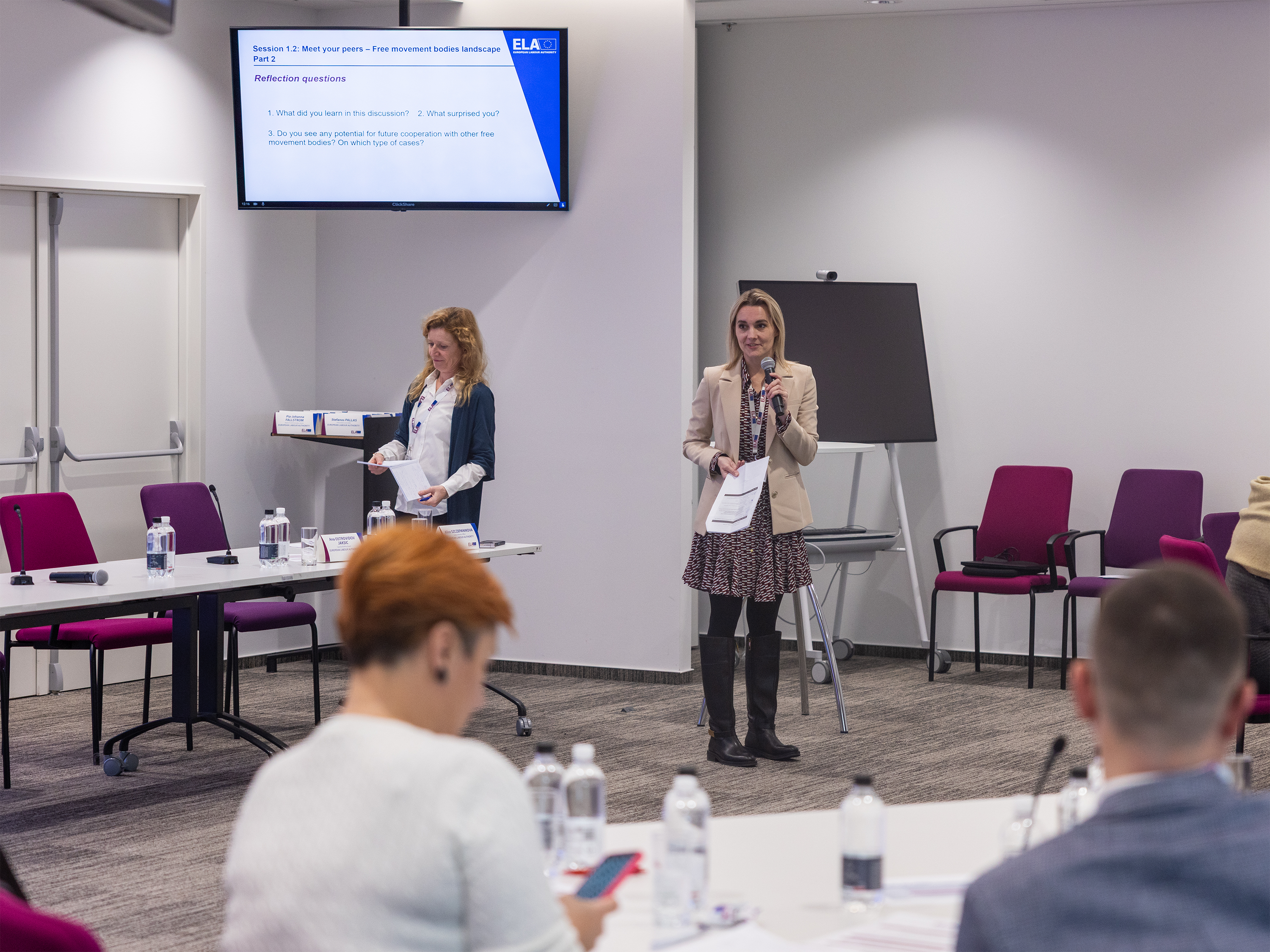 Capacity building free movement bodies 1