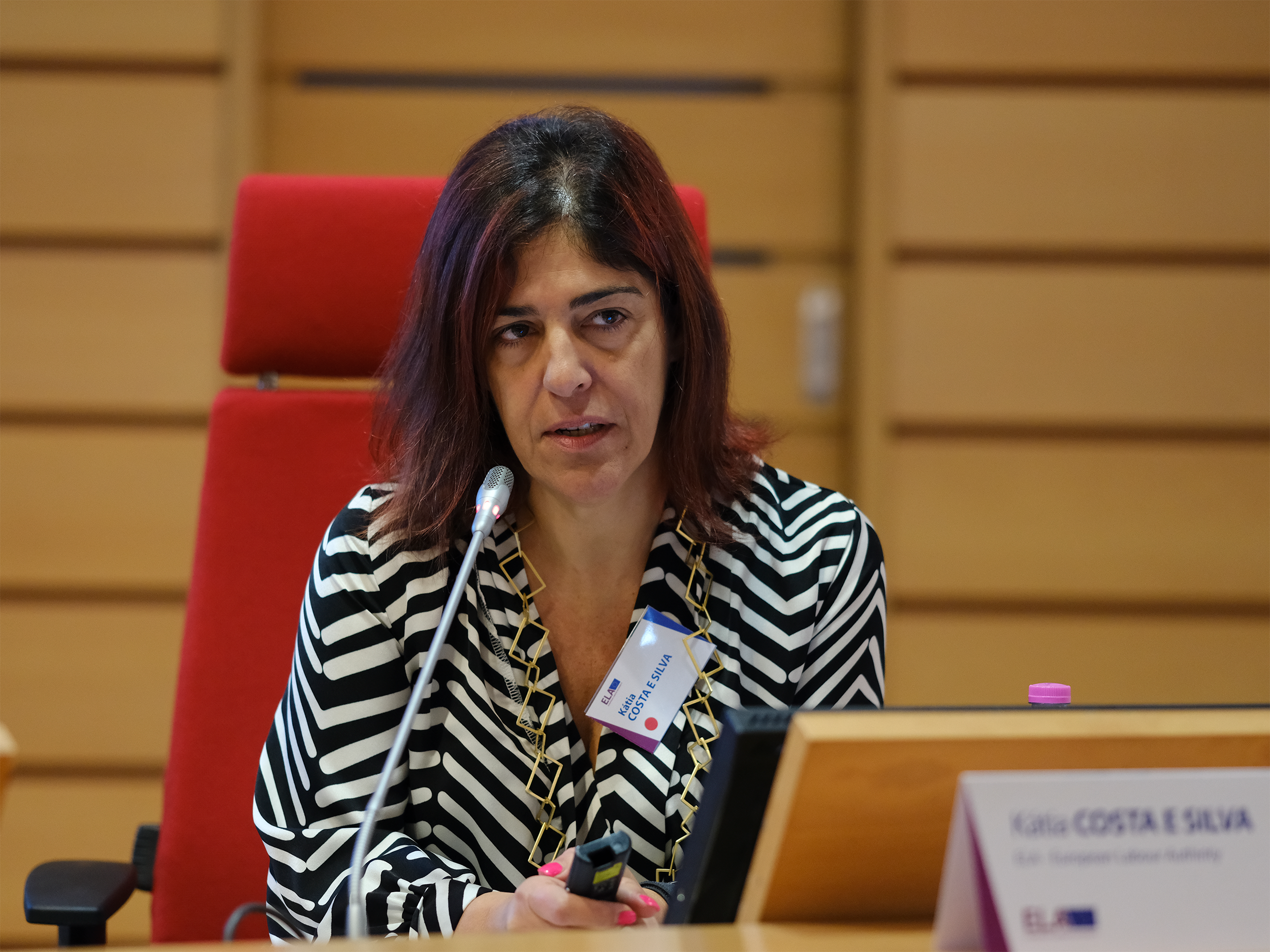 National Training for Italian Labour and Social Inspectors 4