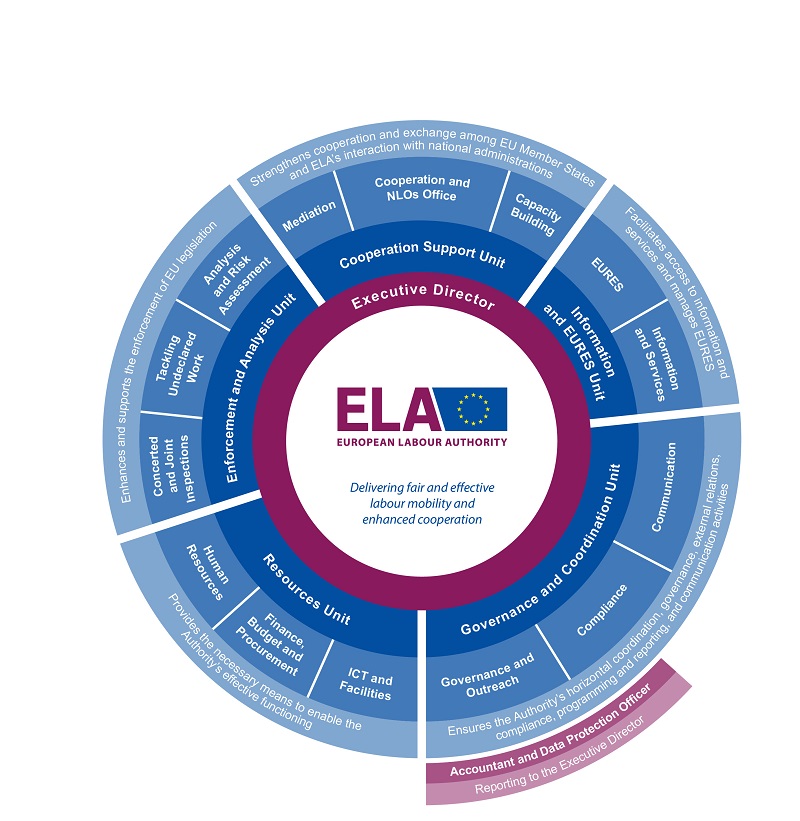 organisational chart ELA 2022