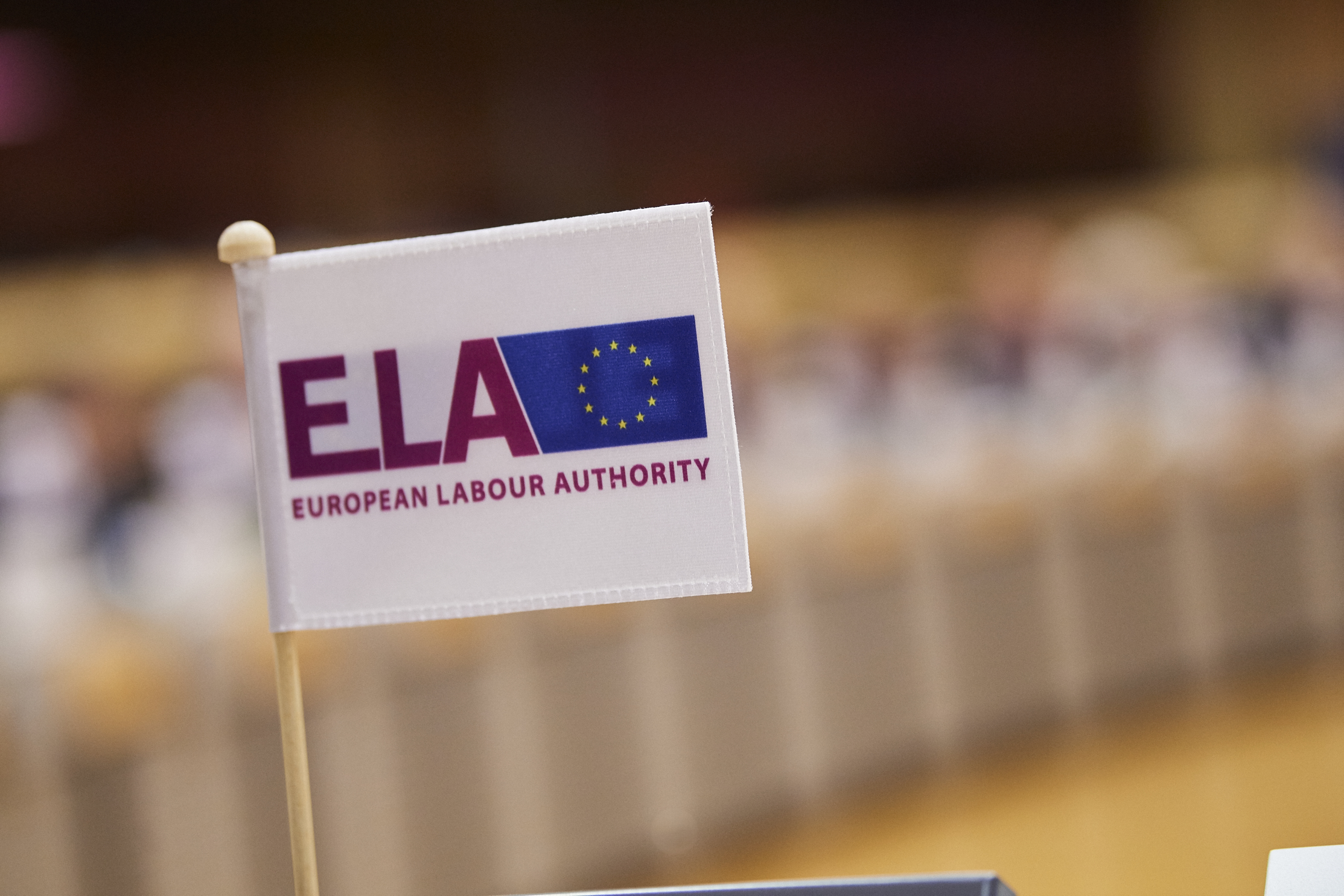 Small flag with ELA logo © European Union