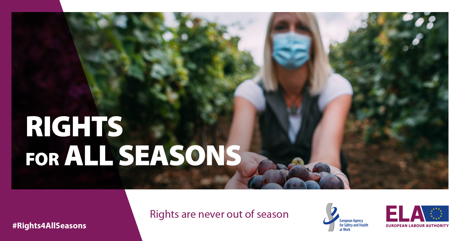 Safe and healthy seasonal workers during COVID-19 times