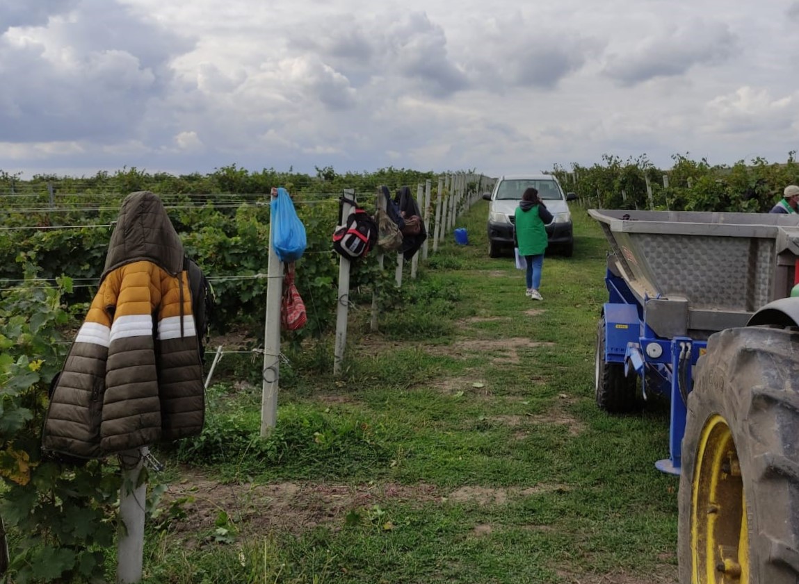 Photo showing an inspection underway with agricultural workers in a field in Romania