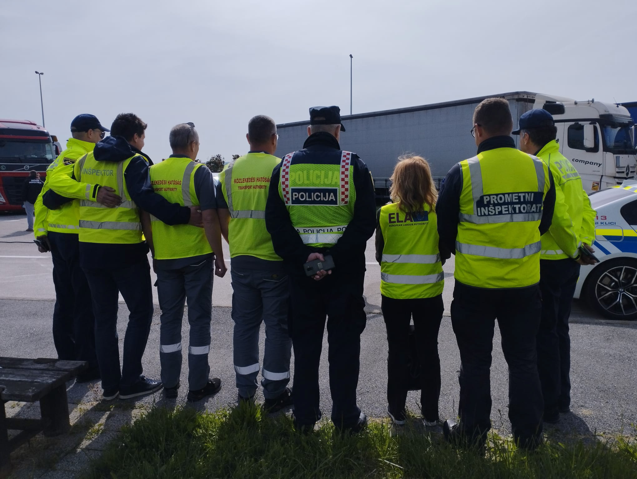 Group of inspectors in line, back to the camera, looking at trucks and cars during an inspection