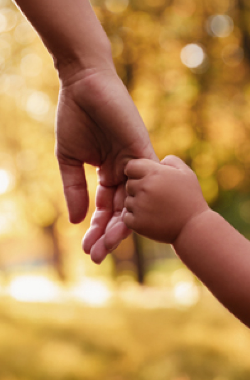 EU4SocialSecurity homepage banner