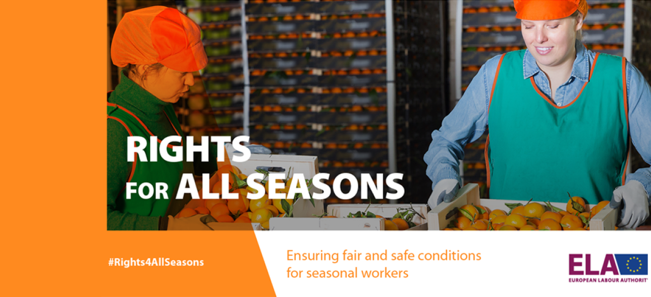 Ensuring fair and safe conditions for seasonal workers