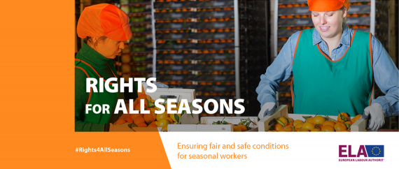 Ensuring fair and safe conditions for seasonal workers