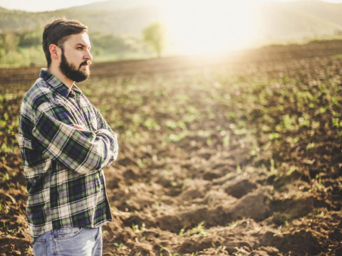 Belgique - Contrôles éclairs
