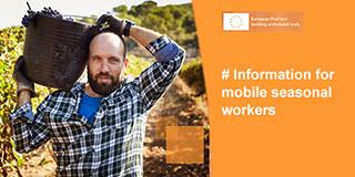 Campaigns mobile seasonal workers brochure thumbnail