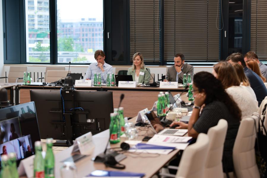 Workshop on the IMI-PROVE modules on posting of workers - 06.06.2023 - picture 1