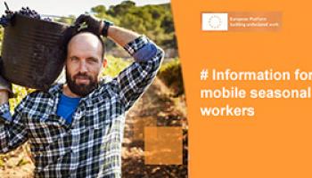 Campaigns mobile seasonal workers brochure thumbnail