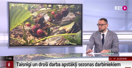 Photo showing Latvian TV interview on Seasonal Workers campaign inspections