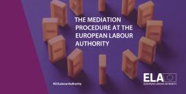 ELA mediation leaflet visual