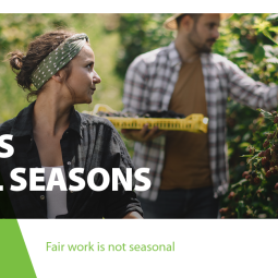 Rights for all seasons: European Labour Authority supports fair work for seasonal workers