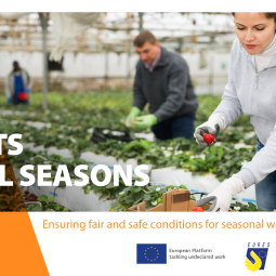 EU Week for Seasonal Workers: spotlight on seasonal workers’ rights