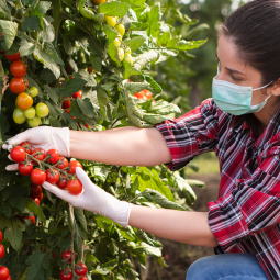 Four things you should know about seasonal work in 2021
