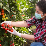 Four things you should know about seasonal work in 2021