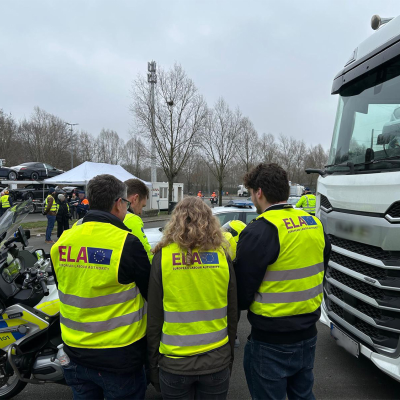 concerted and joint inspection in Belgium