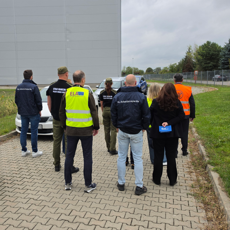 EU inspectors