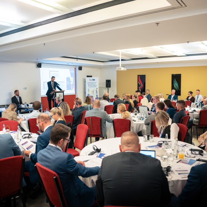 ELA supports Member States in tackling disguised job placement